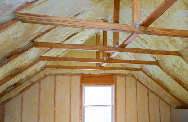 Best Spray Foam Insulation in Premont, TX