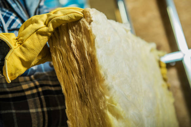 Best DIY Insulation Kits and Guidance in Premont, TX